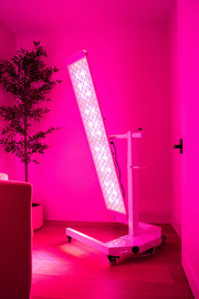 Panorama Red Light Therapy Panel