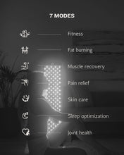Load image into Gallery viewer, The Large Red Light Therapy Panel