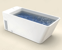 Load image into Gallery viewer, Acrylic Plunge Pool With Integrated Chiller/Heater with Massage